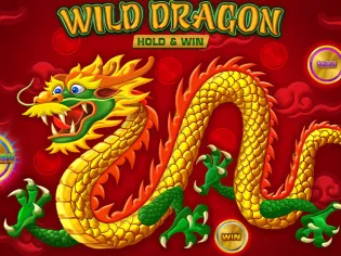 Wild Dragon HOLD&WIN screenshot