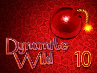 Dynamite Wild 10 screenshot